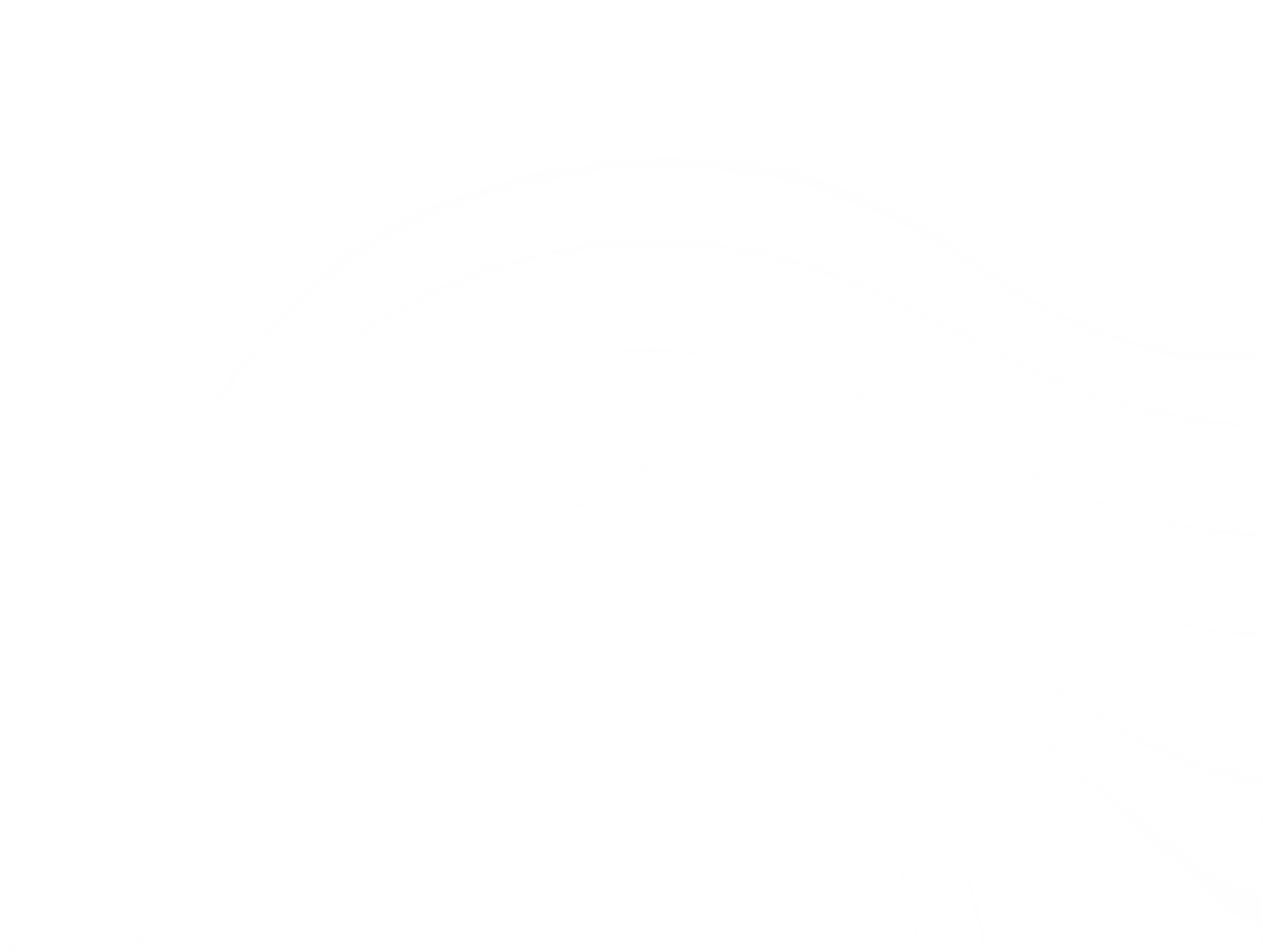 White Transparent Gradient Overlay